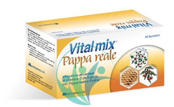 Vital mix Pappa Reale Energia per l'Organismo Tonico con Vitamina B 10Flaconcini