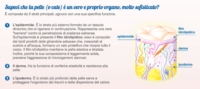 Bepanthenol Linea Bambini Sensiderm Crema Lenitiva Pelli Sensibili 20 g